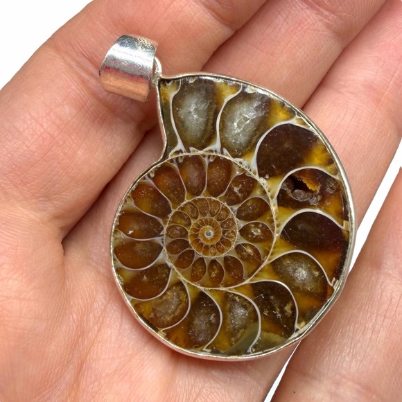 Ammonite Fossil Necklace Pendant 925 Sterling Silver Overlay - Picture 3 of 5